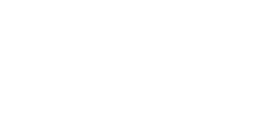 Alpine Demolition